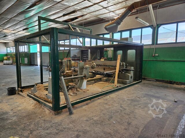 Двусторонний шипорезный станок CELASCHI CELASCHI 