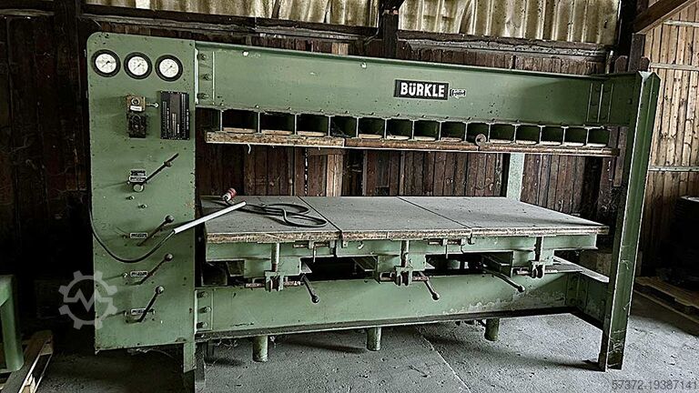 Пресс для шпона Buerkle FPMU 250/120