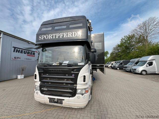 Скотовоз SCANIA P 380 6 Pferde Pop-Out Pop-Up