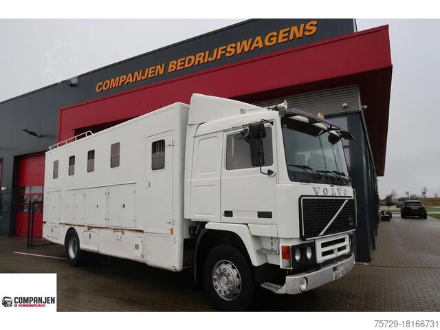 Перевозка крупного рогатого скота Volvo F 12 F12-20 - 1986 - Horse transport - Oldtimer