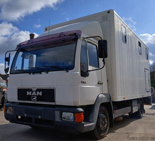 Грузовик для перевозки лошадей MAN 8153 PAARDENVRACHTWAGEN