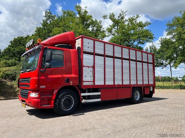 Перевозка крупного рогатого скота DAF CF 75 Veewagen Livestock 1/2 stock