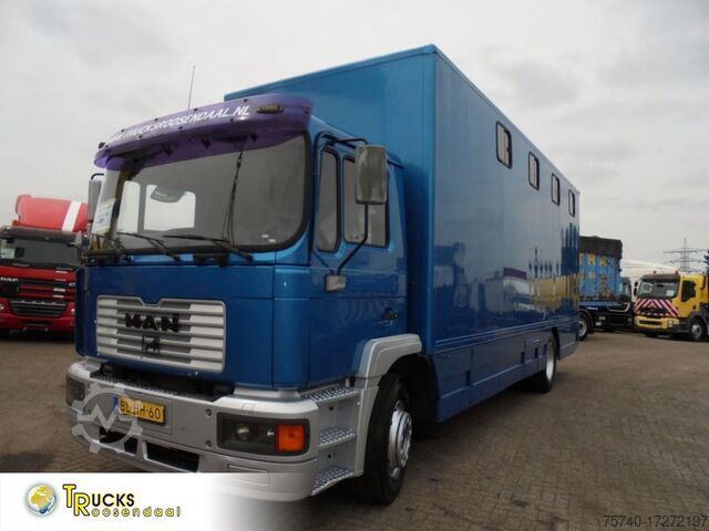 Перевозка лошадей MAN 12 .225 + MANUAL