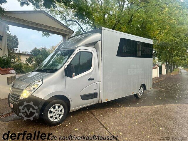 Скотовоз Renault Master 1-2 Pferde Automatik Hengsttrennung