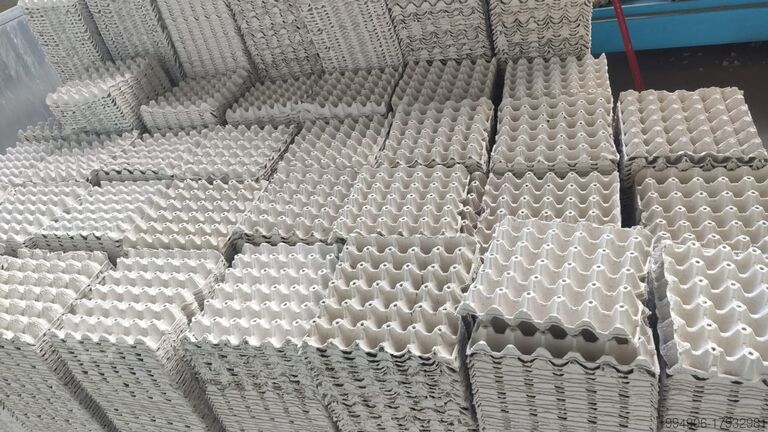производство картона BESTON GROUP BTF5-8 EGG TRAY
