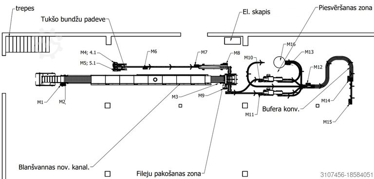 Линия бланшировки NMTEH SIA 