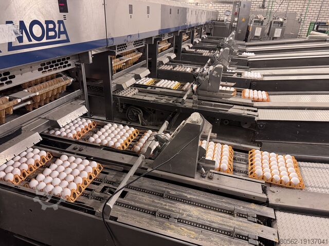 система сортировки яиц Moba Omnia 330 XF Links