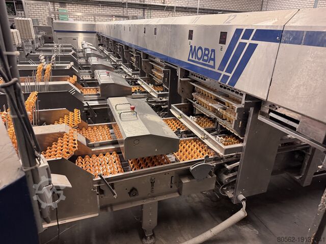 система сортировки яиц Moba Omnia 330 XF Links