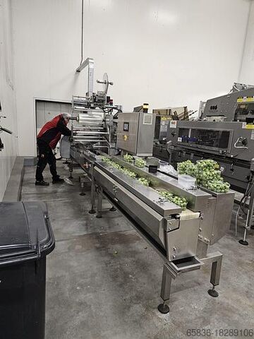 2006 Record PANDA MD-ST с автоматической подачей Automotion Record PANDA MD-ST with automotion automatic infeed