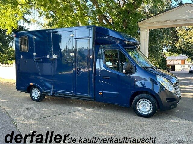 Скотовоз Renault Master 1-2 Pferde Hengstversion