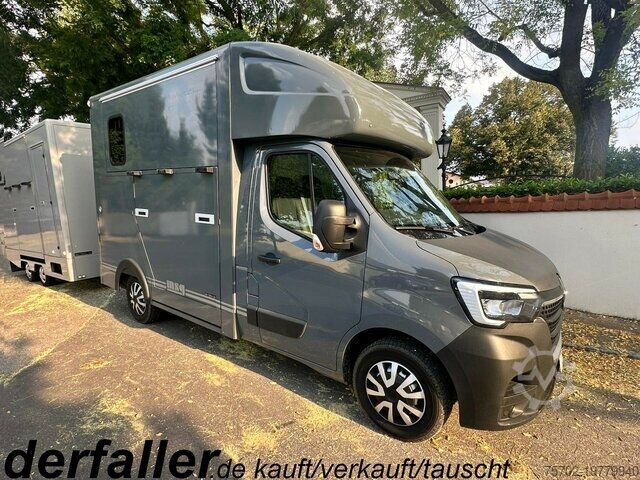 Скотовоз Renault Master MSG Superlight 1-2 Pferde