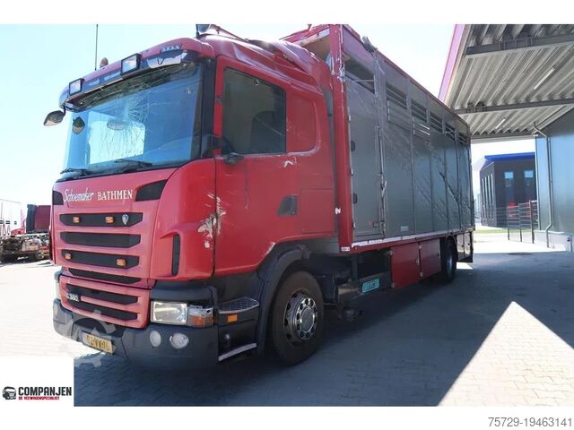 Перевозка крупного рогатого скота Scania G380 G380 - Schade - Damage - Schäden