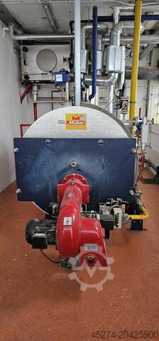 Паровой котел LOOS 1,25 to/hr x 10 bar