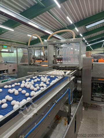 завод по упаковке яиц Moba Omnia 170 Loader stand-alone