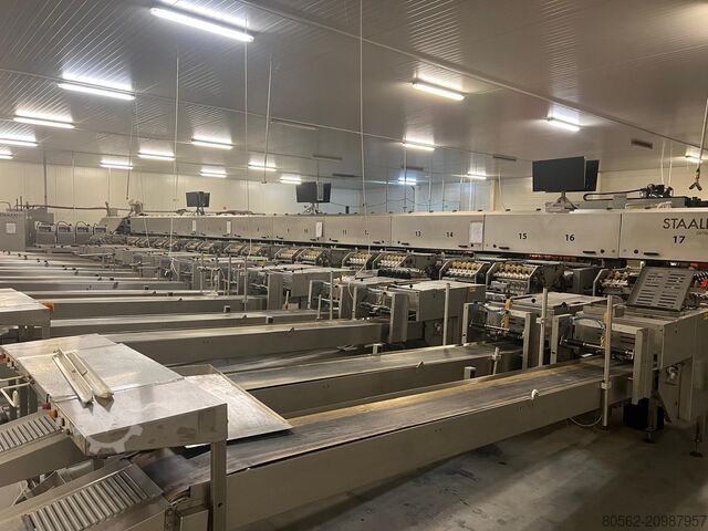 завод по упаковке яиц Sanovo opti grader 600