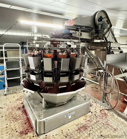 Многоголовочный весовой дозатор Ishida CCW-M-214W-S/30-WP