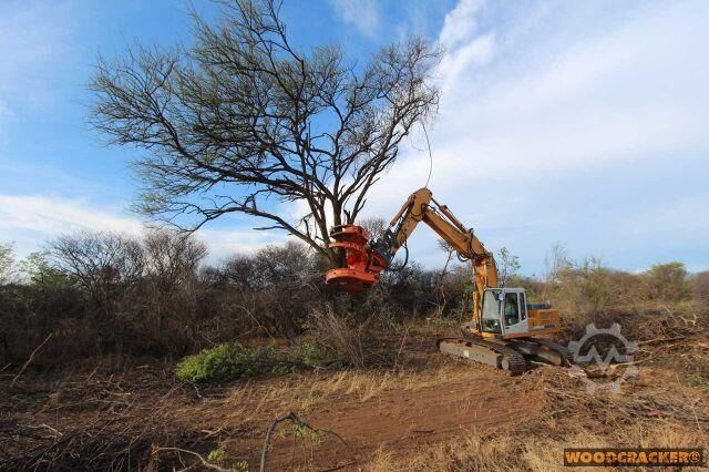 строительная машина Westtech Woodcracker C550 Fällgreifer Baumschere