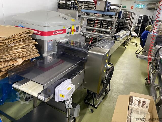 Оборудование для упаковки пищевых продуктов Record Packaging Machinery Scorpion MD SP Flow Wrapper with Printer