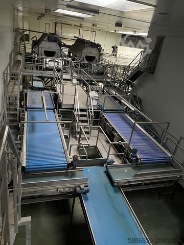 Линия для мойки и упаковки моркови  