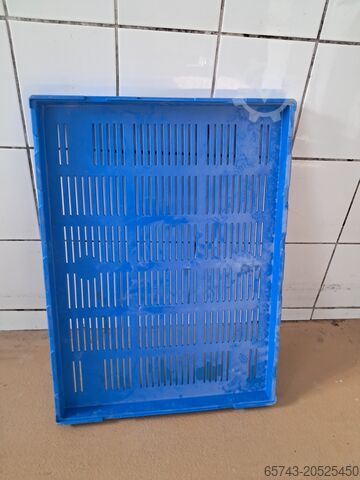 Синие ящики для расстойки  55x75x5