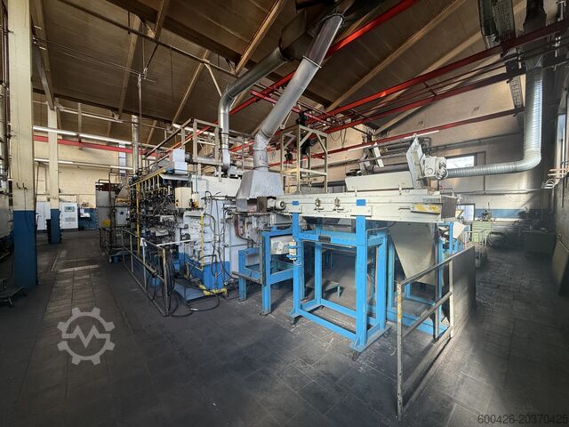 Линия термической обработки 250 кг/ч AICHELIN DHLGS 950-60/350