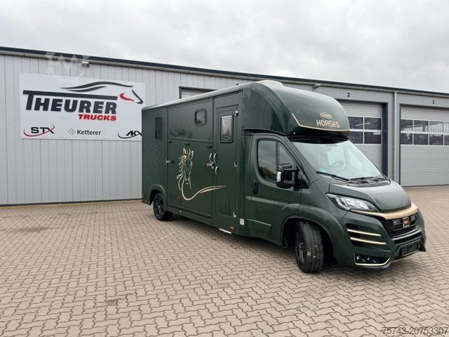 Скотовоз FIAT Ducato  EXKLUSIVE Hengstmodel