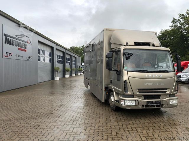 Скотовоз IVECO M752 3-4 Pferde kl. Wohnung.
