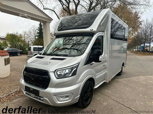 Скотовоз Ford Transit 1-2 Pferde Hengsttrennung