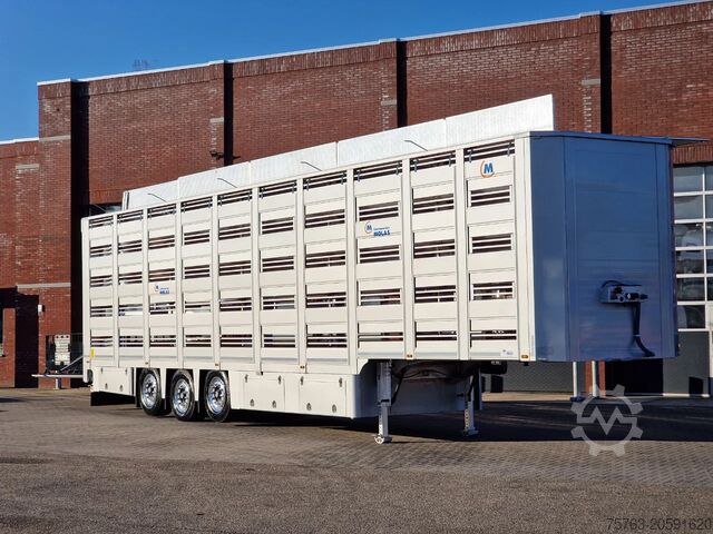 Перевозка крупного рогатого скота Overige Molas 5 deck Livestock trailer - Water & Ventil...