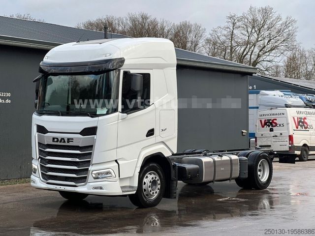 Шасси грузовика DAF XF 480 FA 4x2 Fahrgestell Blatt-/Luft *NEU*