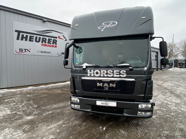 Скотовоз MAN TGL 8 180 45 Pferde Wohnung