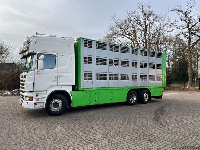 Перевозка крупного рогатого скота Scania R560 V8 6x2/4 Finkl Type2 Wage/weigh lift belas...