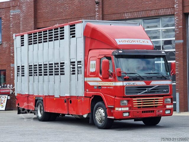 Перевозка крупного рогатого скота Volvo FM 250 4x- Livestock 2 deck - Lifting floors - ...