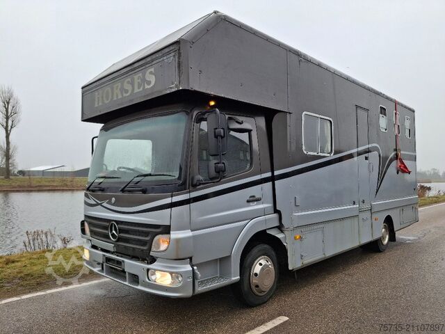 Перевозка лошадей MERCEDES-BENZ ATEGO 815