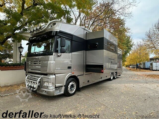 Скотовоз DAF XF 26510 5 Pferde Popout Mega Wohnung Womozul.