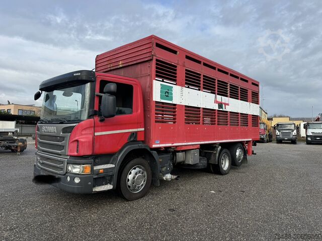 грузовик для перевозки скота SCANIA P 320 TRASPORTO ANIMALE 6X2