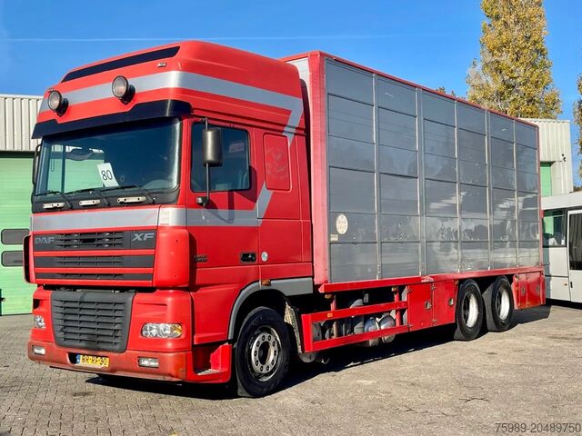 Перевозка крупного рогатого скота DAF XF 95.430 BERDEX 3 decks. Water, fans, Scales! ...