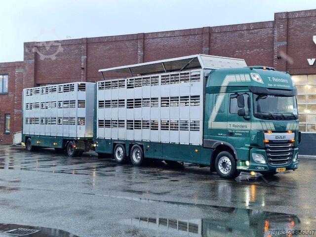 Перевозка крупного рогатого скота DAF XF 440 SuperSpaceCab 6x2*4 - Cuppers 1-2-3 deck...